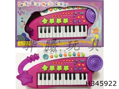 H345922 - 24 key musical instrument