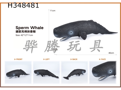 H348481 - Sponge filled sperm whale with enamel