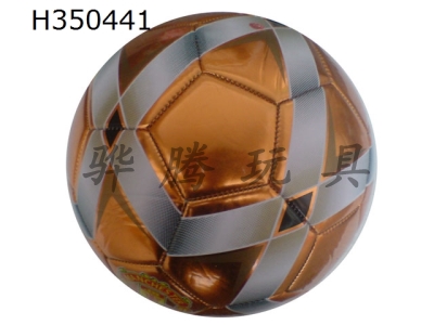 H350441 - Football