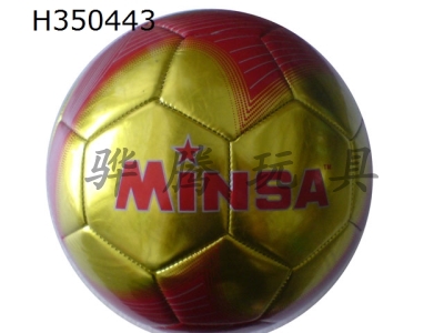 H350443 - Football