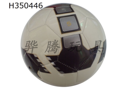 H350446 - Football