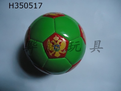 H350517 - Football