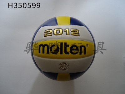 H350599 - Volleyball (leather)