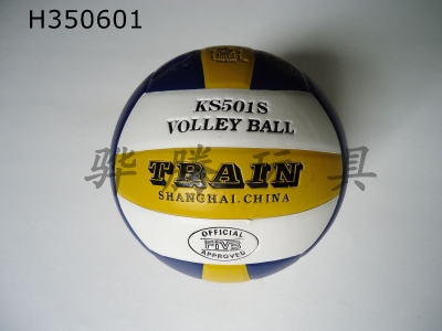 H350601 - Volleyball (leather)