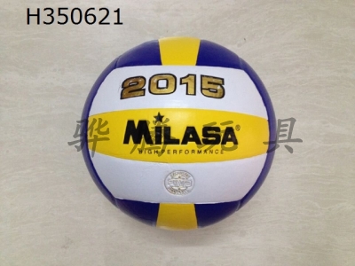 H350621 - Volleyball (leather)
