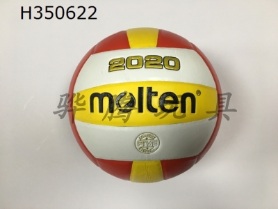 H350622 - Volleyball (leather)