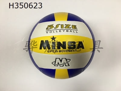 H350623 - Volleyball (leather)