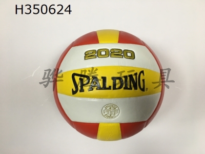 H350624 - Volleyball (leather)