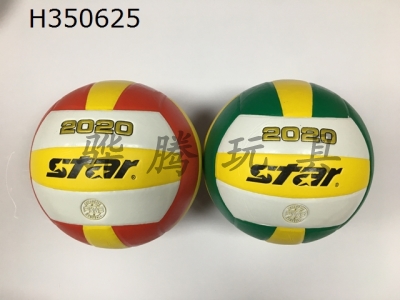 H350625 - Volleyball (leather)