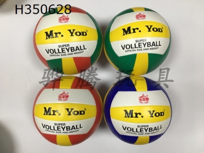 H350628 - Volleyball (leather)