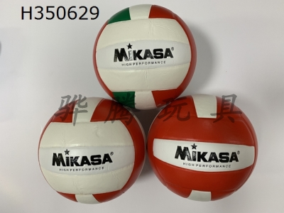H350629 - Volleyball (leather)