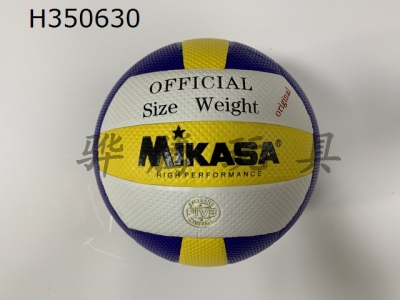 H350630 - Volleyball (leather)