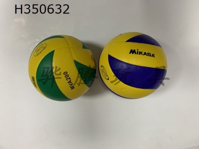 H350632 - Volleyball (leather)