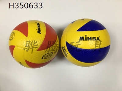 H350633 - Volleyball (leather)