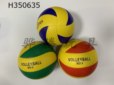 H350635 - Volleyball (leather)