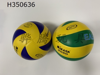 H350636 - Volleyball (leather)