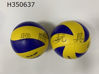 H350637 - Volleyball (leather)