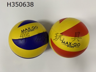 H350638 - Volleyball (leather)
