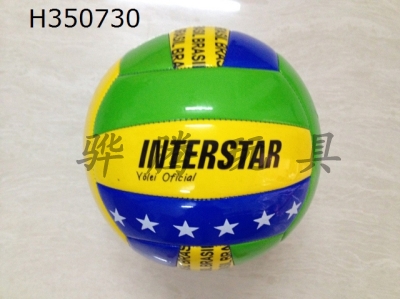 H350730 - 2014 volleyball