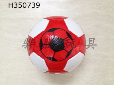H350739 - Football