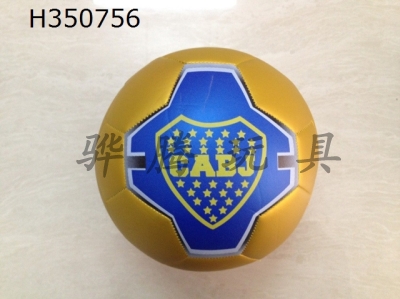 H350756 - Football