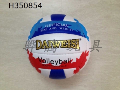 H350854 - Volleyball
