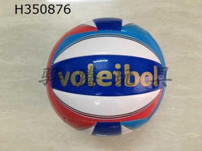 H350876 - Volleyball