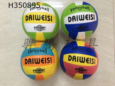 H350895 - Volleyball