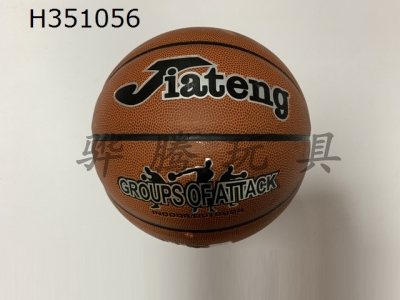 H351056 - Basketball