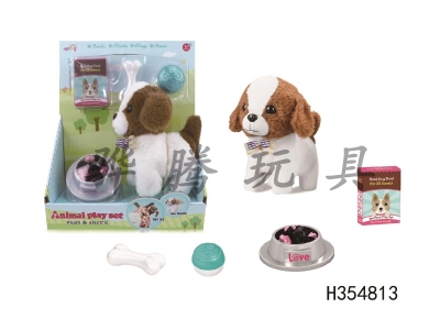 H354813 - Music and electric dog food set (including electricity)