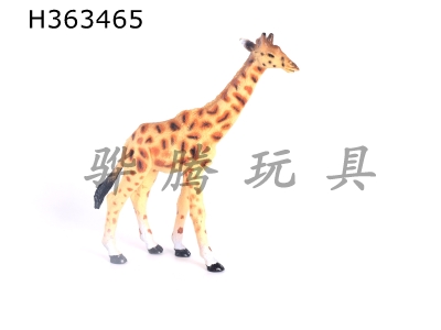 H363465 - Single wild animal (giraffe)