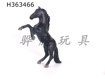 H363466 - Single farm animal (big black horse)