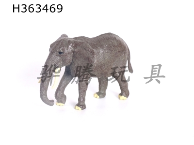 H363469 - Single wild animal (elephant)