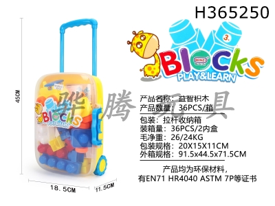 H365250 - Puzzle building blocks (36pcs)