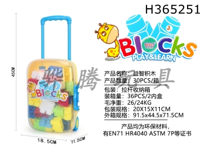 H365251 - Puzzle building blocks (30pcs)