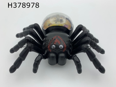 H378978 - Dragline black spider (light)