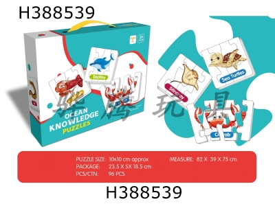 H388539 - Matching puzzle