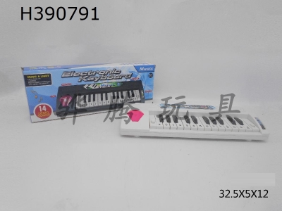H390791 - Light music electronic organ