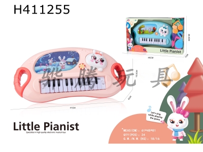 H411255 - Big rabbit electronic organ