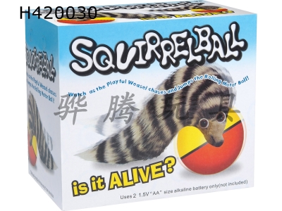H420030 - Electric squirrel ball