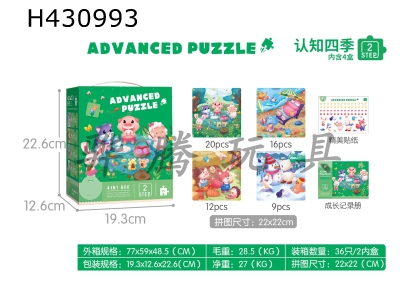 H430993 - Advanced puzzle puzzle (level 2)