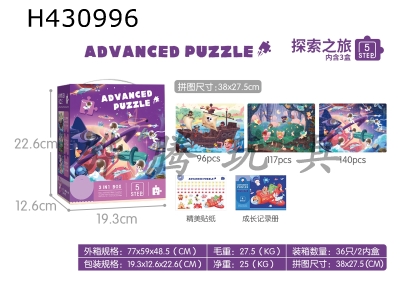 H430996 - Advanced puzzle puzzle (level 5)