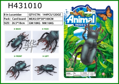 H431010 - An 8-inch catalpa beetle