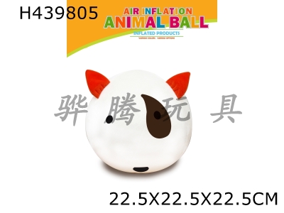H439805 - 9 inch cartoon ball