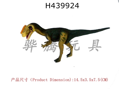 H439924 - Protogoniosaurus