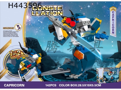 H443596 - 12 constellations series building blocks-
Capricorn