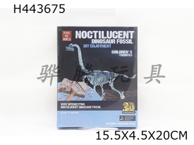 H443675 - Luminous archeological Brachiosaurus self-contained skeleton