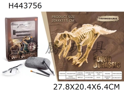 H443756 - Tyrannosaurus Rex static educational toys (Archaeology)