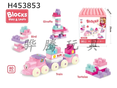H453853 - Puzzle girl building blocks (80pcs)