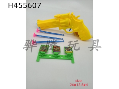 H455607 - Double needle gun and fittings.